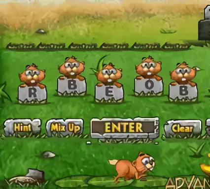 Image n° 2 - boxback : Pogo Island